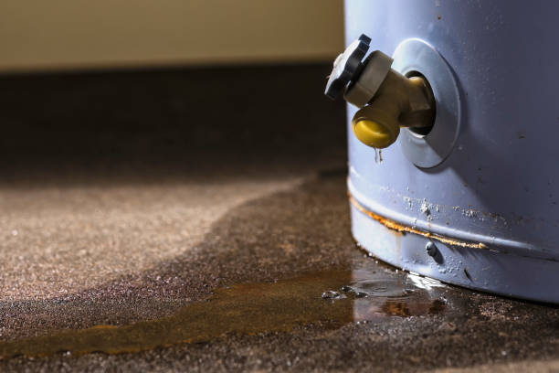 Best Fire Damage Restoration  in Marfa, TX