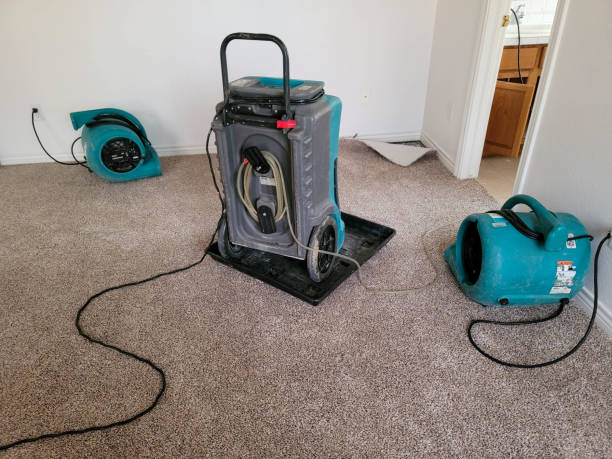 Best Residential water damage restoration  in Marfa, TX