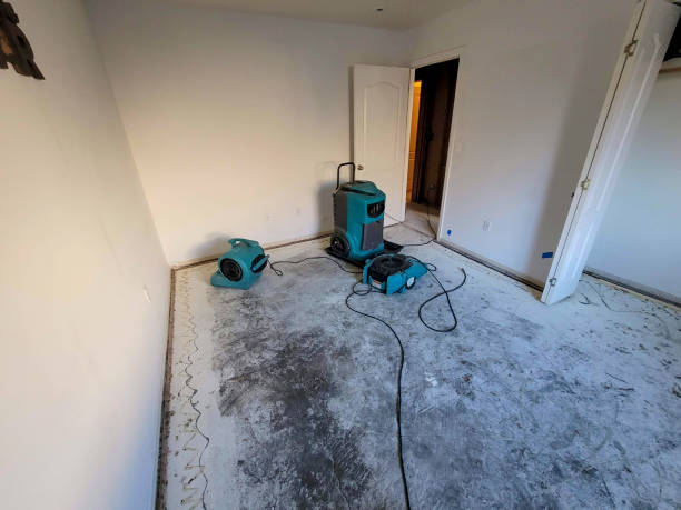 Best Ceiling water damage repair  in Marfa, TX