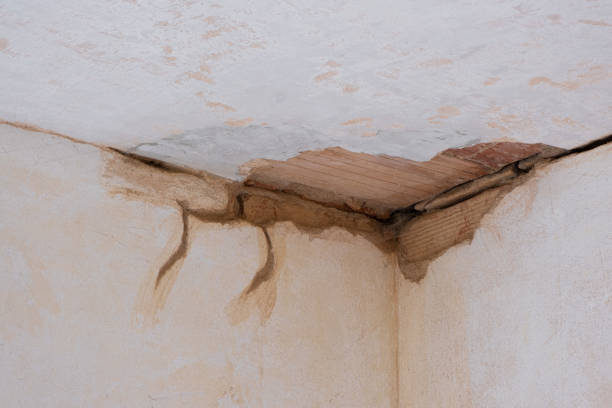 Best Carpet water damage restoration  in Marfa, TX