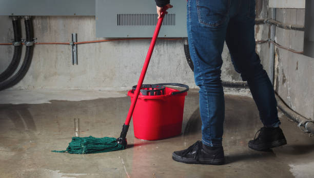 Best Local water damage restoration  in Marfa, TX