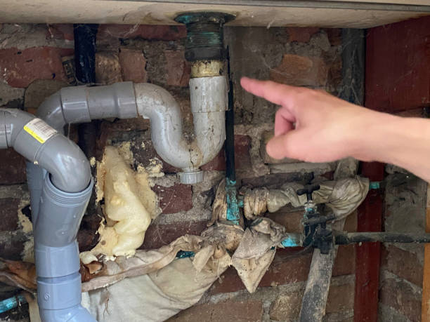 Best Water damage restoration experts  in Marfa, TX