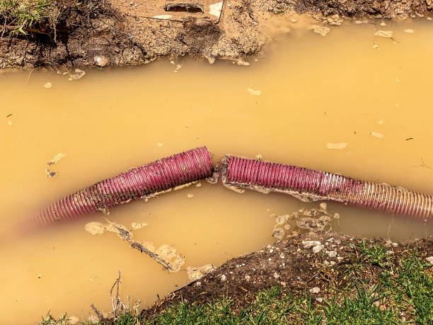 Best Water damage cleanup near me  in Marfa, TX