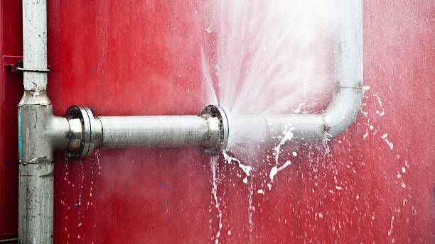 Best Professional water damage repair  in Marfa, TX