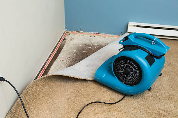 Best Emergency water damage restoration  in Marfa, TX